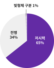 전맹 34%, 빛형체 구분 1%, 저시력 65%