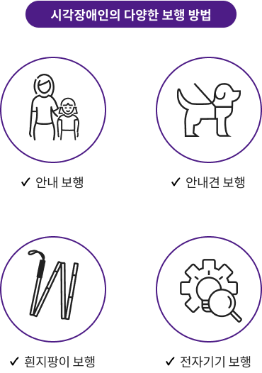 시각장애인의 다양한 보행 방법 : 안내보행, 안내견 보행, 흰지팡이 보행, 전자기기 보행